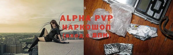 стаф Арсеньев
