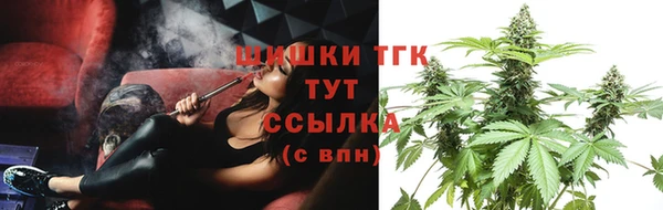 стаф Арсеньев