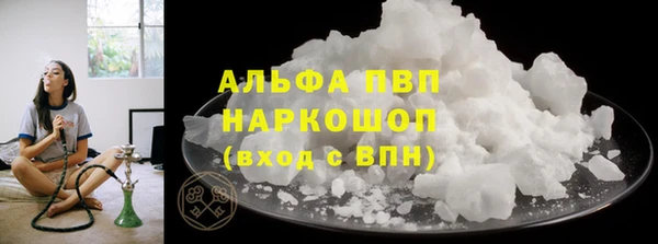 стаф Арсеньев