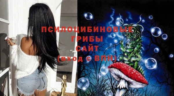 стаф Арсеньев